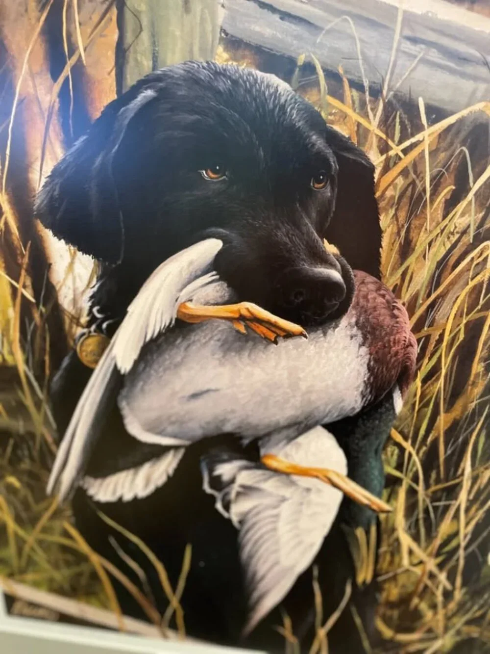 James H. Killen 1st-in-Series Signed Ltd Edition Numbered Duck Print Art RARE